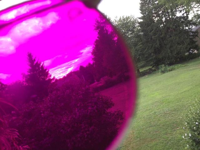 magenta view.jpg