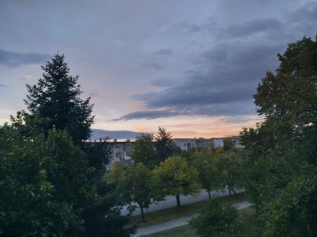 IMG_20251011_072843_HDR.jpg