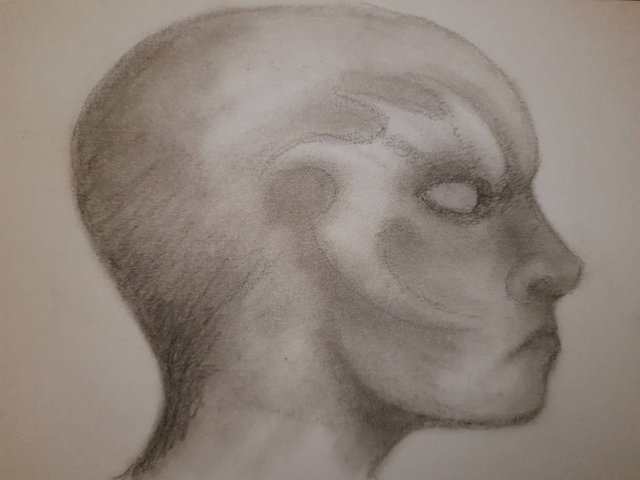 20250729_105829.jpg