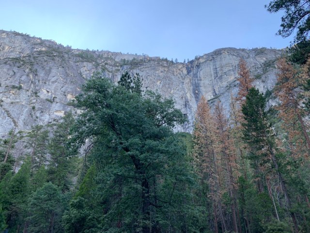 Yosemite7.jpg