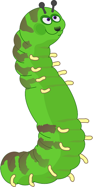 caterpillar-158701_640.png