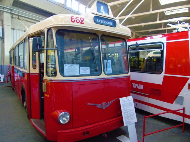 1histobus2021 (6).JPG