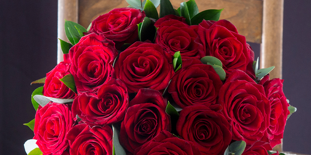 red-roses-banner.png