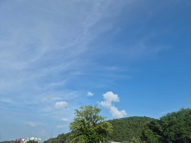 1000031637.jpg