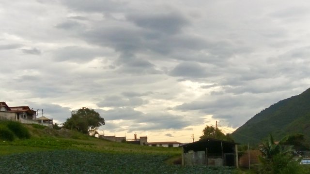 IMG_20250609_083338_229.jpg