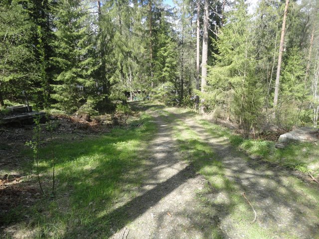 DSC03958.JPG