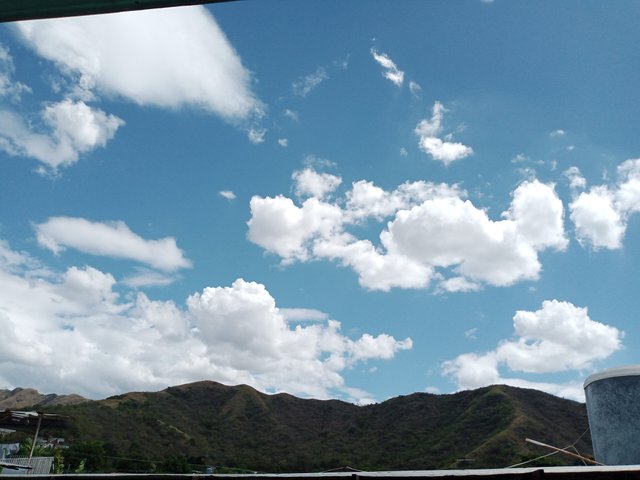 IMG_20250129_121628_250.jpg