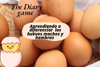 The Diary game_20241127_135831_0000.png