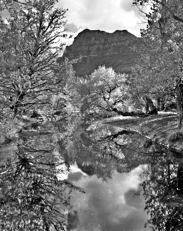 creek reflection 7x5 bw.jpg