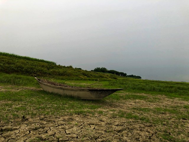 IMG_1946-01.jpeg