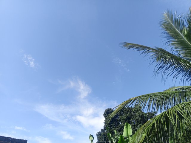 IMG_20250914_152919_614.jpg