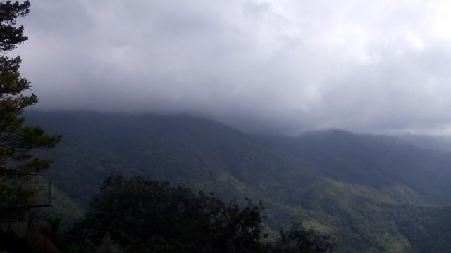IMG_20171124_094756.jpg