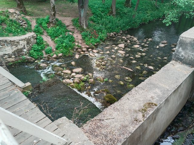 IMG_20250706_173659.jpg