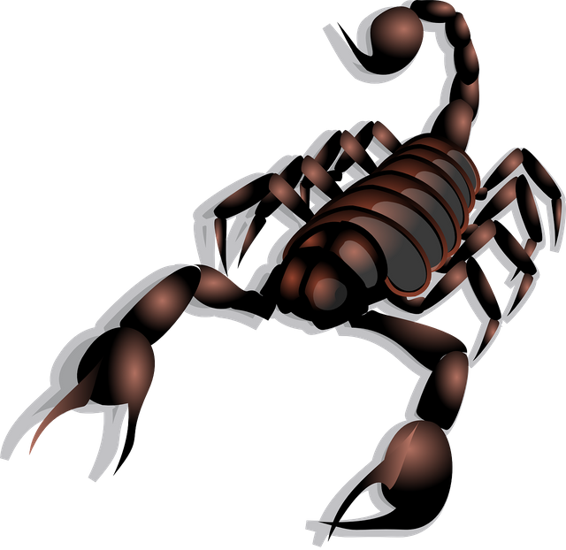 scorpion-23158_1280.png