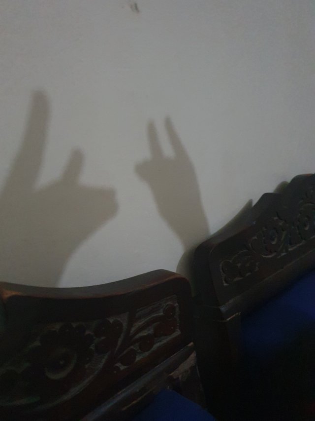 20250625_135406.jpg