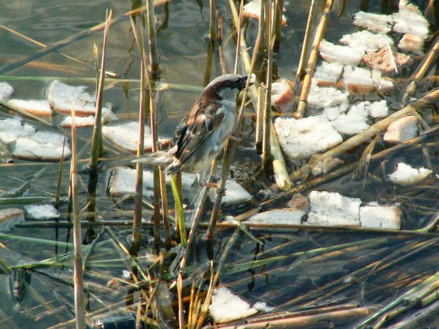 PICT0407.jpg
