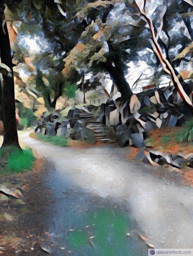 1000040449.jpg