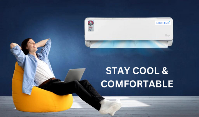 Stay Cool & Co.png