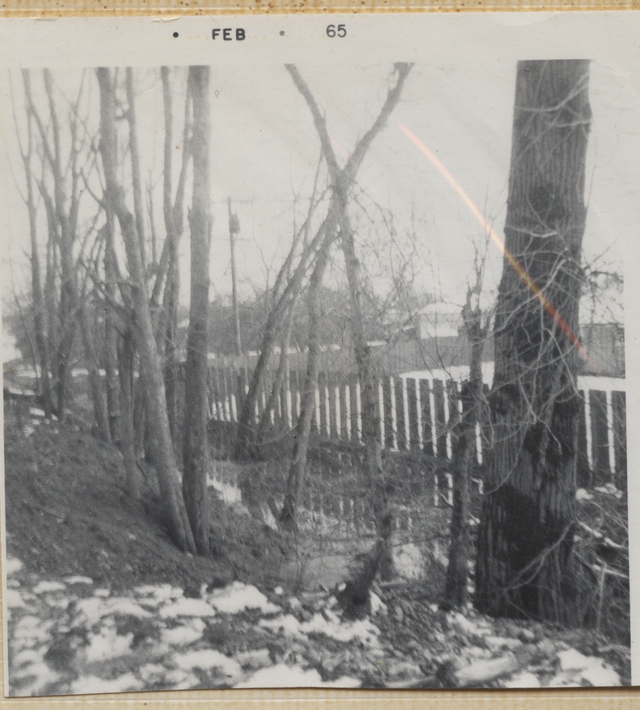 1965-02 Snow Trees.png