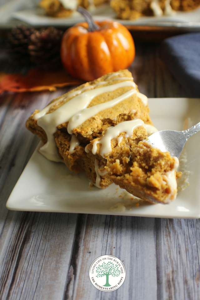 pumpkin scones pin 1 .png