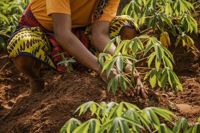 countryside-worker-planting-out-field_23-2148761816.jpg