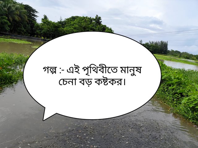 IMG_20250729_195253.jpg