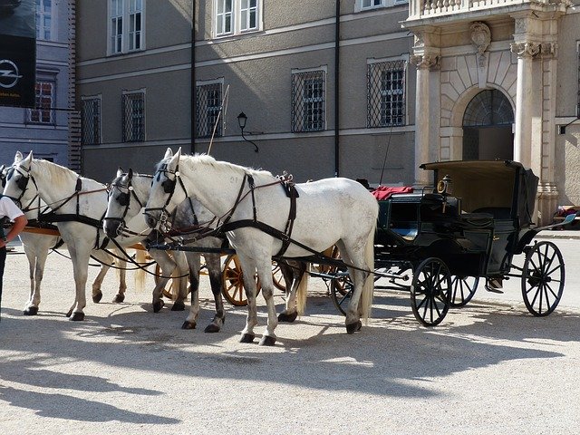 horses-g2494f70c0_640.jpg