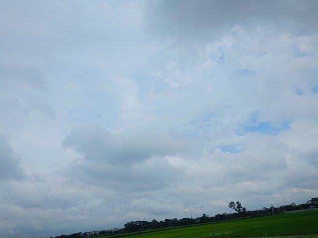 1000013840.jpg