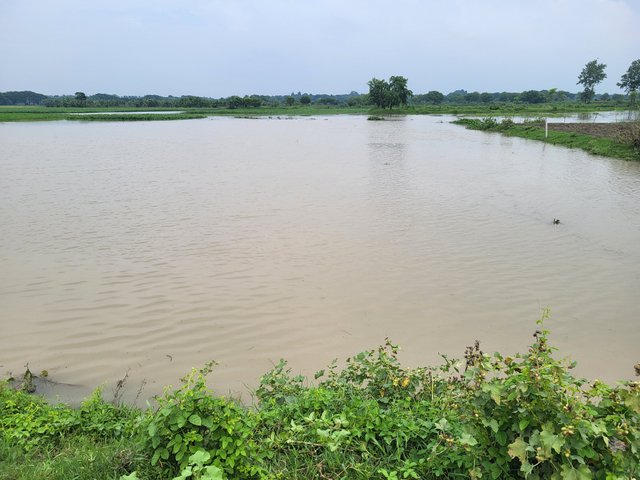 20250526_140210.jpg