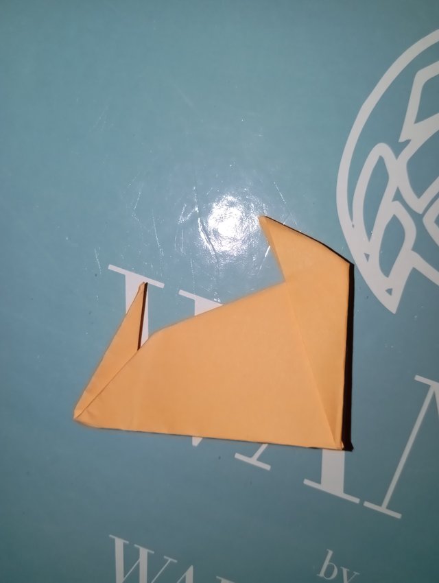 1000056444.jpg