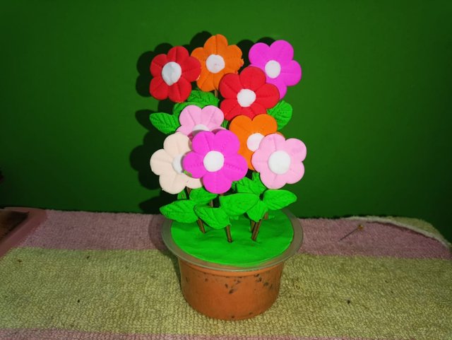 1000158384.jpg