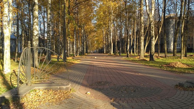 IMG_20211012_160359.jpg
