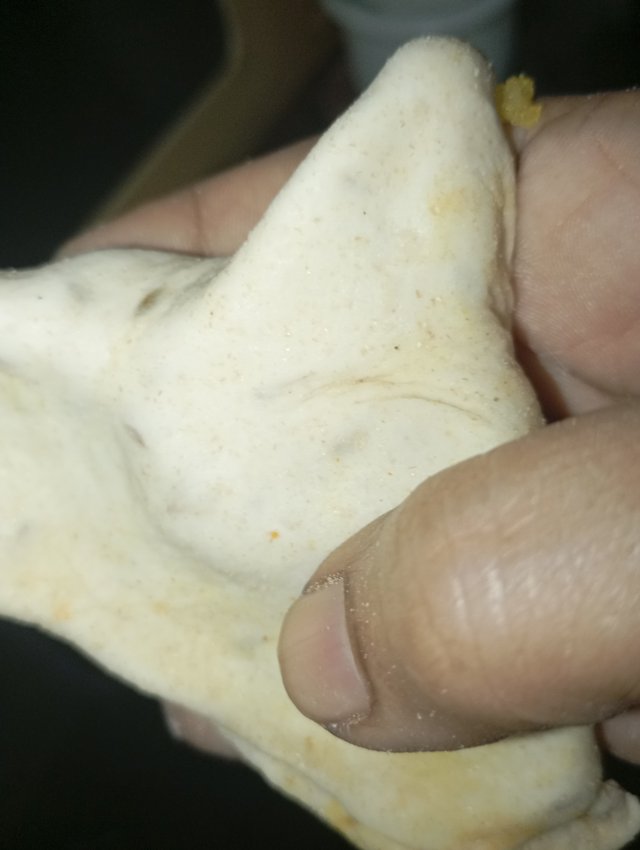 1000061889.jpg