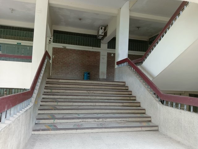 IMG20250626120725.jpg