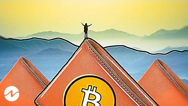 Wallets_holding_one_or_more_Bitcoin_just_reached_new_ATH_of_865.jpg