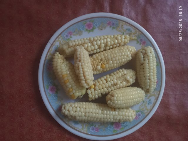 1000092313.jpg