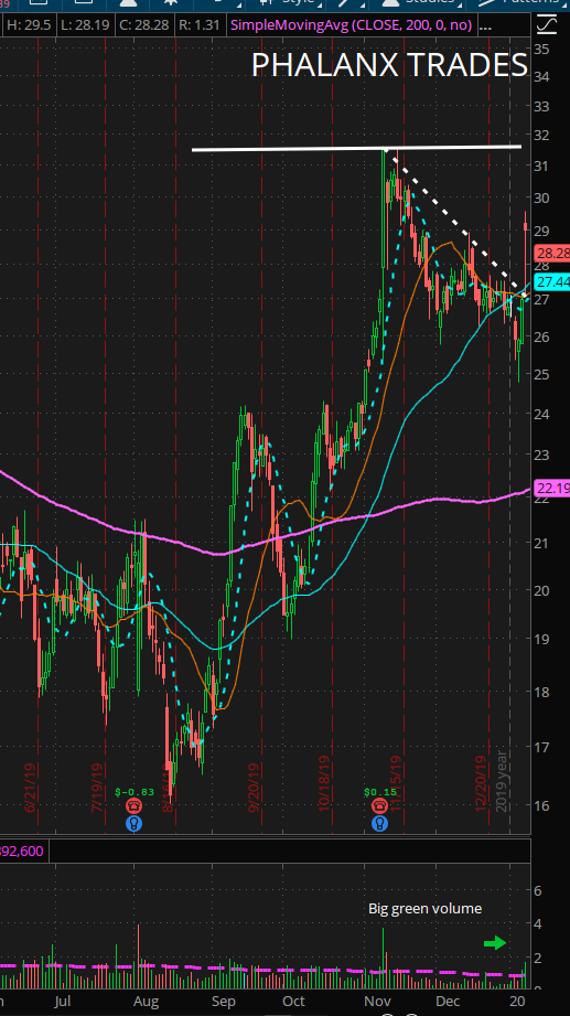 3 - Trade of the day daily chart SGMS 1 day yearly.PNG