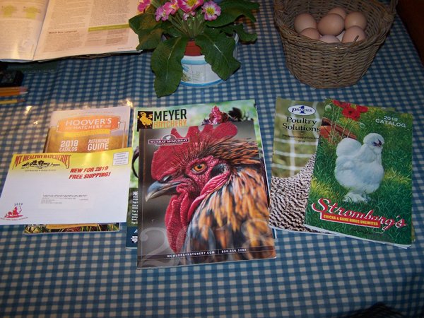 Chick catalogs crop Feb. 2019.jpg