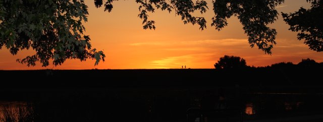 post park sunset IMG_2590 copy.jpg