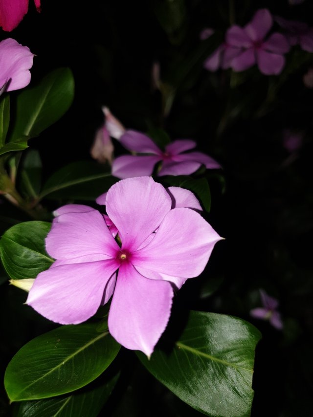 20220918_213750.jpg