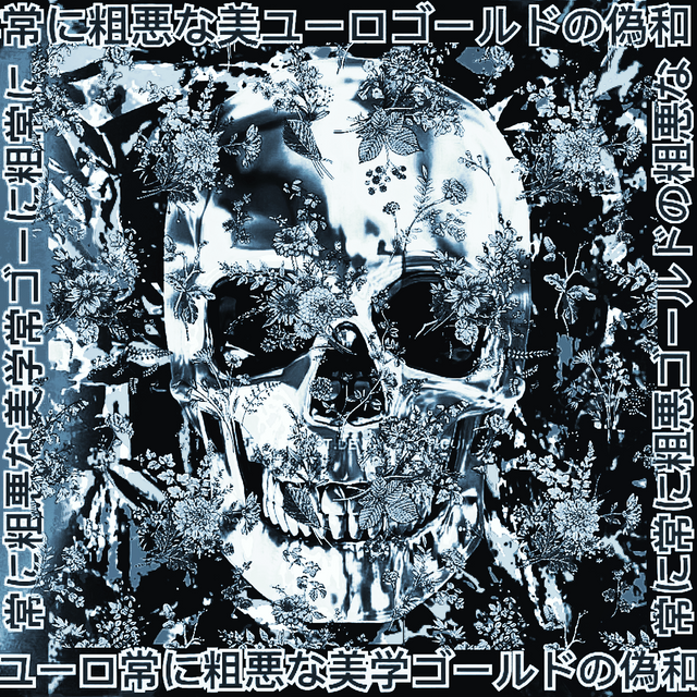 aesthetic skull B&W.PNG