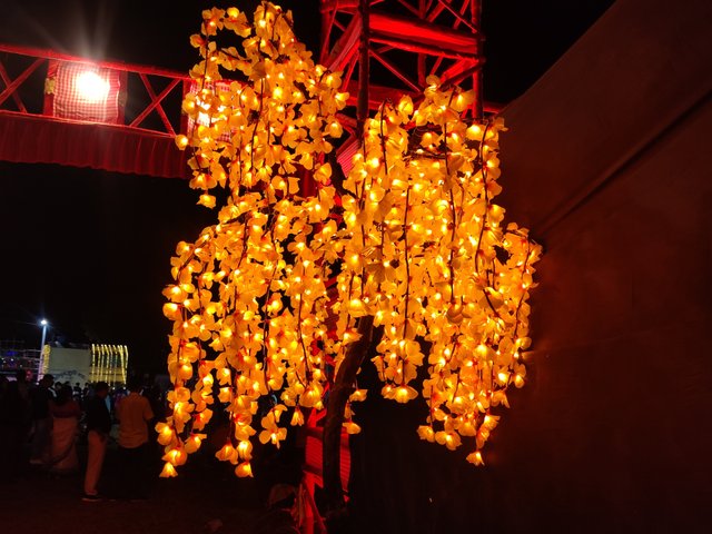 IMG_20251001_223333.jpg