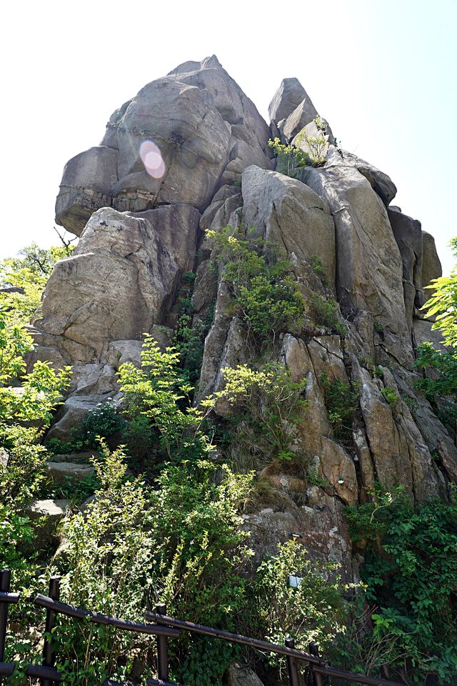 b-DSC04769.JPG