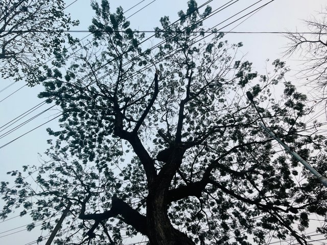 IMG_6117.jpeg