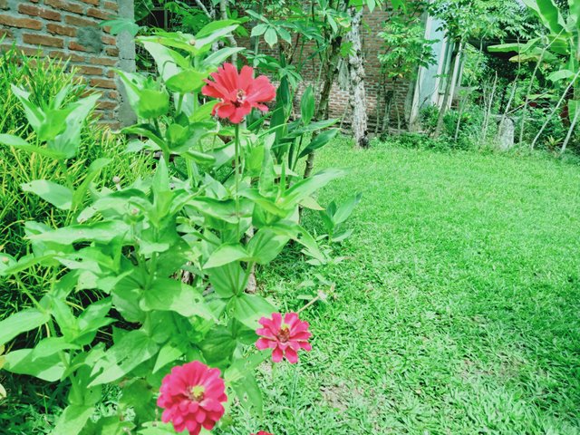 IMG20210621133657.jpg