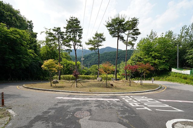 b-DSC07751.JPG