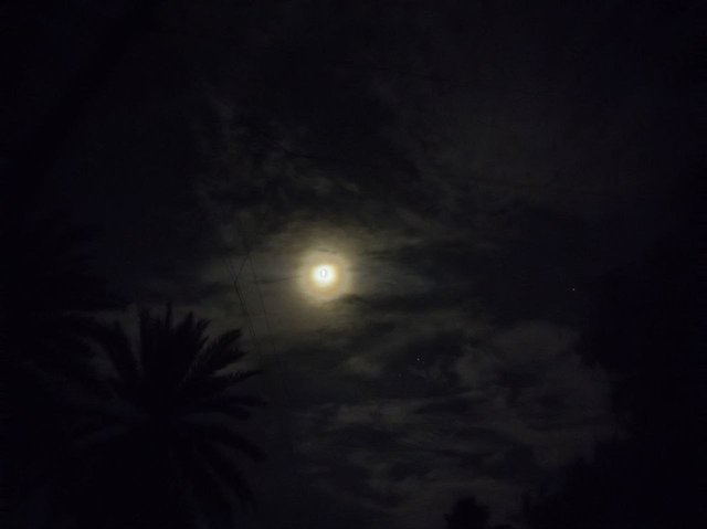 IMG_20250910_221913_896.jpg