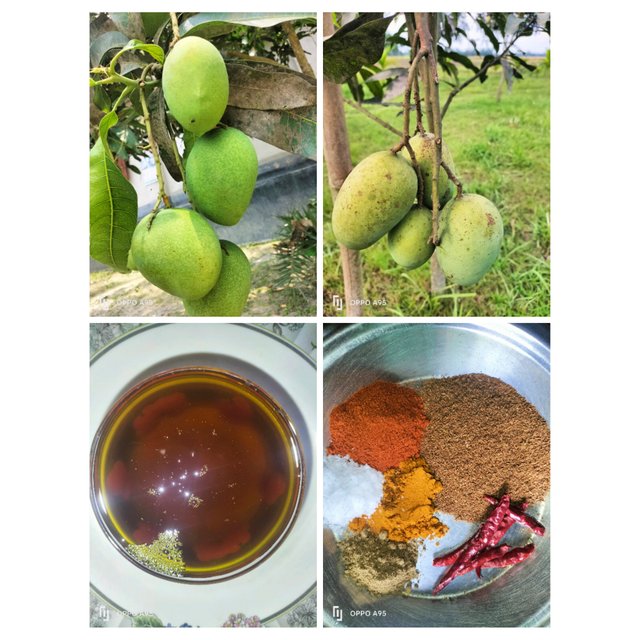 PhotoCollage_1747127366718.jpg