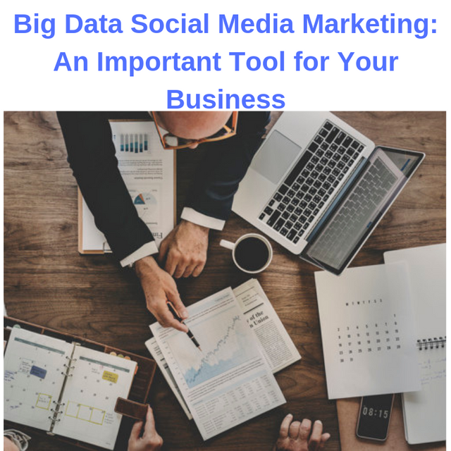 Big Data Social Media Marketing_ An Important Tool for Your Business.png