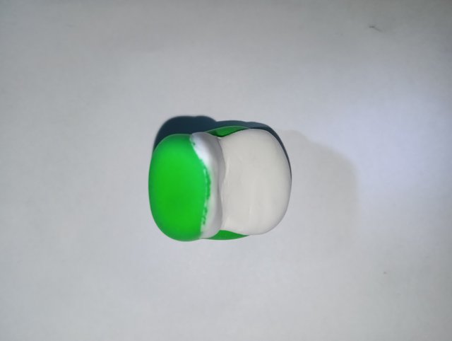 1000063481.jpg